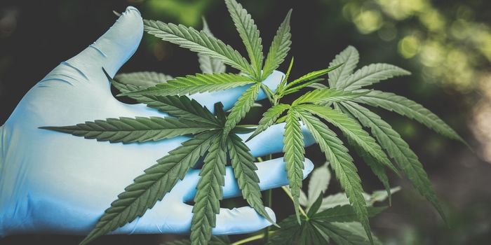 A Standard 'Unit' for Cannabis May Benefit Mental Health