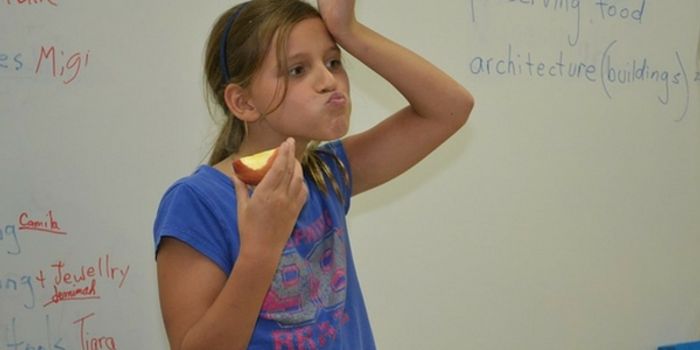 Puberty and What it Does to the Brain