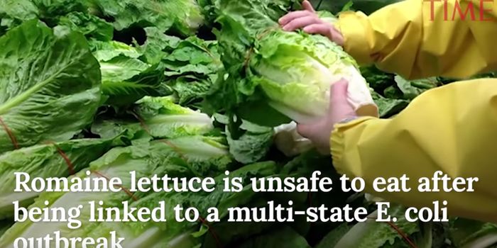 The CDC Issues a Serious Warning About All Romaine Lettuce
