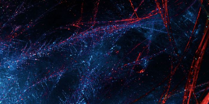 Genes in the Placenta May be Causing Schizophrenia