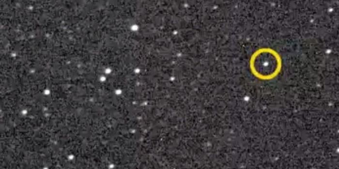 Scientists Observe Black Hole Emitting Visible Light With Common Telescope