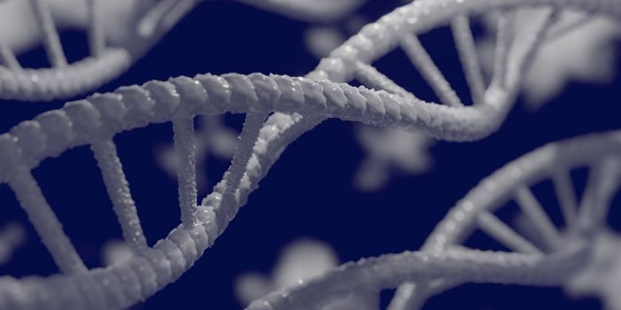 Modern Humans Are Better at Avoiding Oxidative Stress