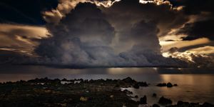 COVID Cytokine Storm Chasers Look Inside the Lungs