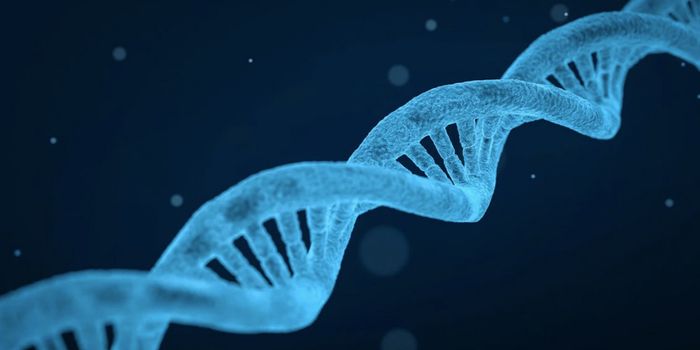 Introners: Genetic Elements That Species Transfer, Boosting Diversity