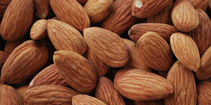 Almonds may Help Raise Levels of 'Good' Cholesterol