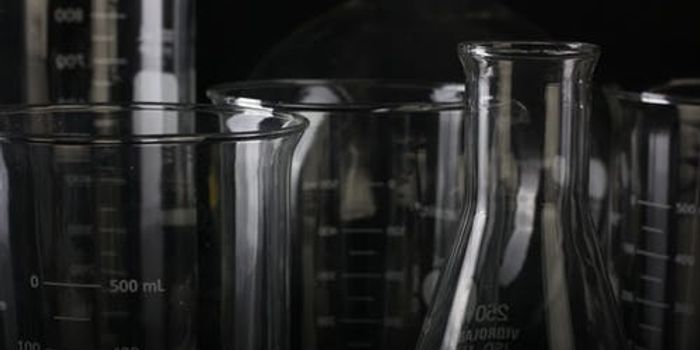 Mighty Multitasker, Mitochondria Do More Than Power The Cell