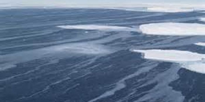 Reduced Southern Ocean Convection Raises Climate Regulation Concerns 
