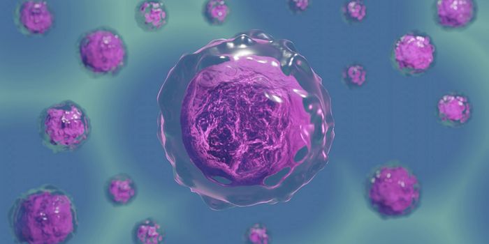 Learning More About How Cells Control a Death Pathway