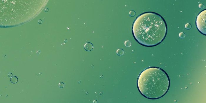 A High-Protein Diet Seems to Change the Microbiome & Activate Immunity