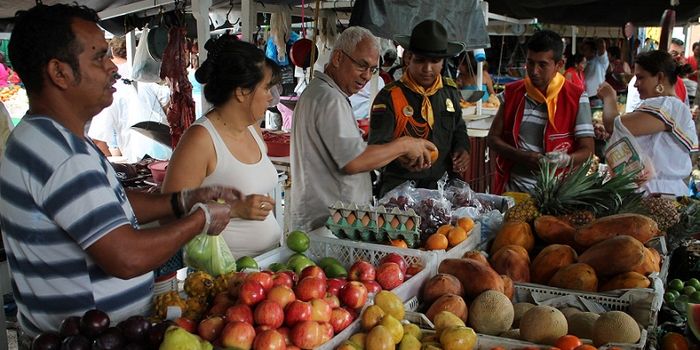 Modelling climate change deaths from food scarcity