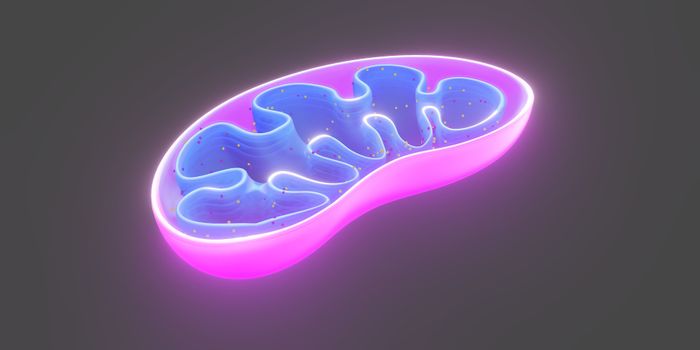 New Mitochondrial Disease Identified in Identical Twins