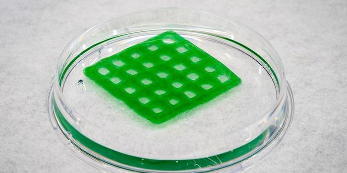 Engineered Living Material: A Novel Approach to Sustainable Water Decontamination