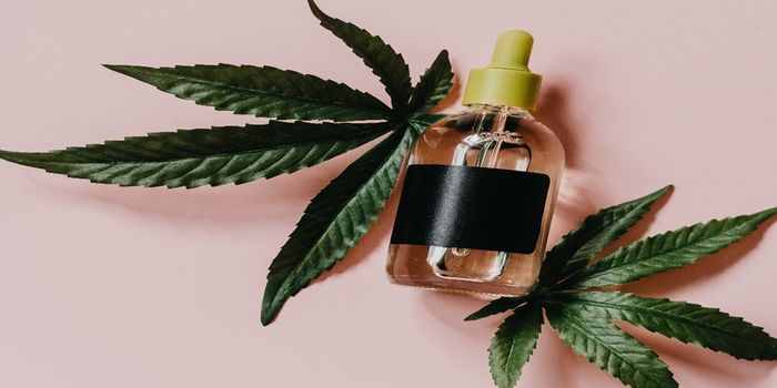 Acute Intoxication Effects of Legal-Market High-Potency THC-Enriched vs. CBD-Enriched Cannabis Concentrates