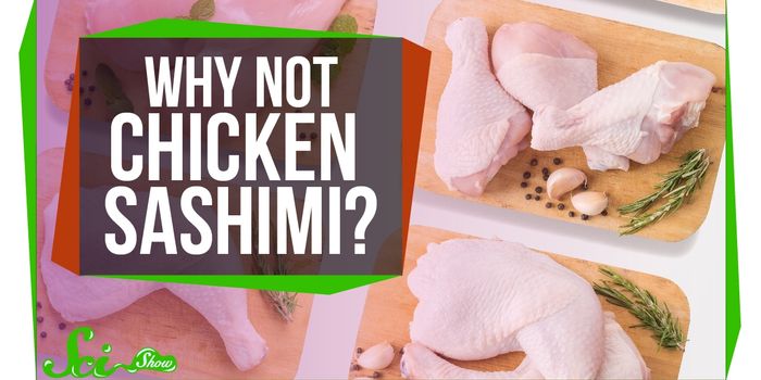 Just Say No to the Chicken Sashimi Trend