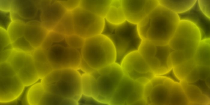 Mom's Microbiome has a Big Impact on Kid's Autism Risk