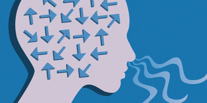 Seeing The World Through Smell