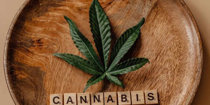 The Brain's Cannabinoid System Reduces Risk of Addiction Following Childhood Trauma