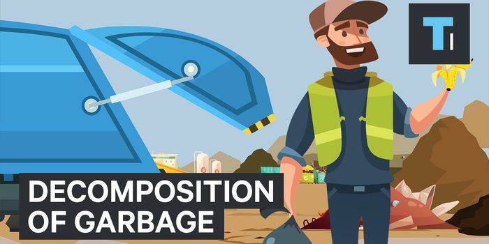 Trash Decomposition Takes Longer Than You Think