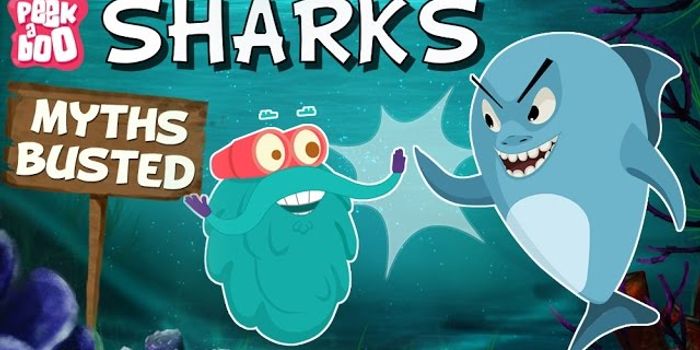 Shark Myths Busted