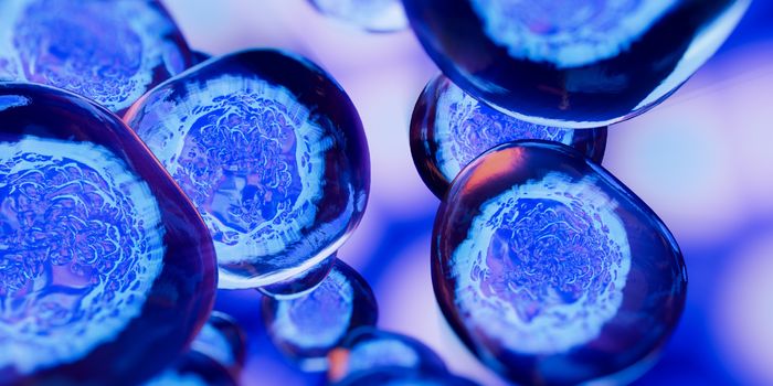 The Future of Biomedical Research: Organoid Analysis