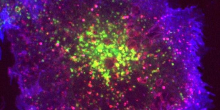 Scientists Created a way to Induce Endocytosis in Cells
