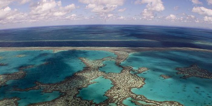 The Great Barrier Reef's Bioherms