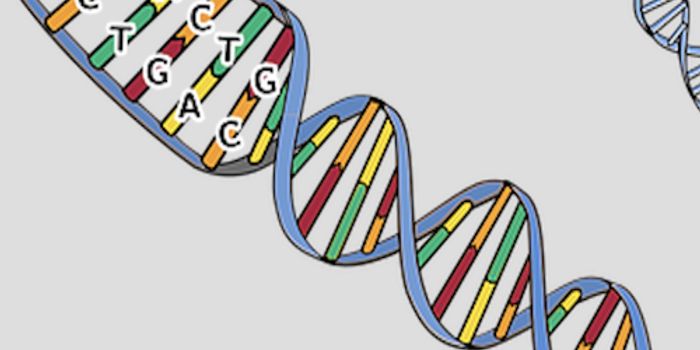 Data-based Health Management Tool for Aortic Aneurysm