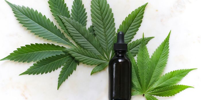 Cannabis Reduces ADHD Med Use in New Study