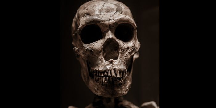 Only 7% of the Human Genome or Less is Unique to Modern Humans