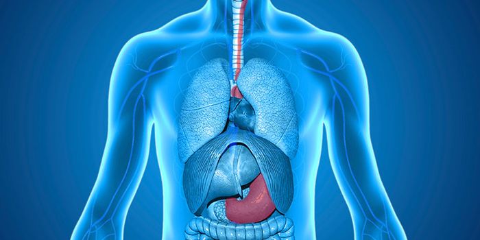 Gut punch - does Parkinson's start in the gut?