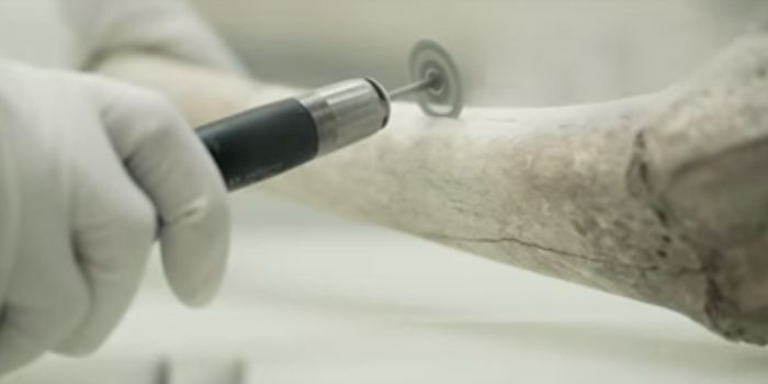 Lactose Tolerance Quickly Moved Through Europe