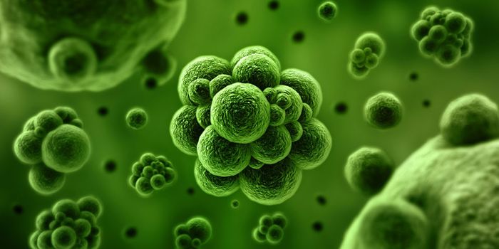 A Double Punch of Viruses & Immunotherapy Could Improve Outcomes for Cancer Patients