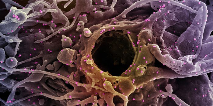 A Gene Defect That Causes Deadly Reactions to Viruses & Vaccines