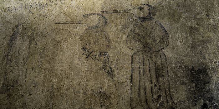 From Fleas to Natural Selection: The Black Plague & Modern Immunology