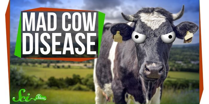 How Likely are You to Get Mad Cow Disease Today?