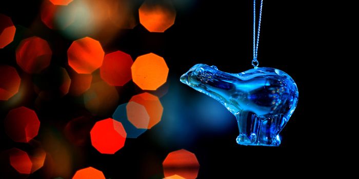 The Science Behind Holiday Specs