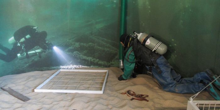 Sunken Treasure Discovered in Two Shipwrecks off the coast of Israel