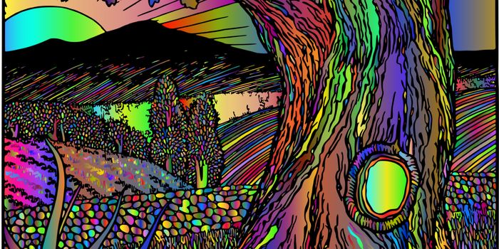 Are Hallucinations Necessary for Psychedelics to Treat Depression?
