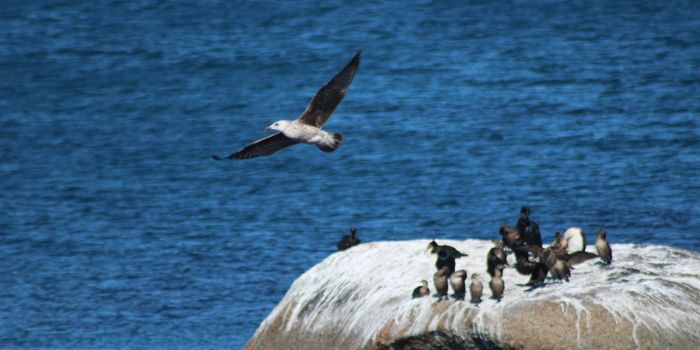 Temperature Perception Seems to be Different in Males & Females