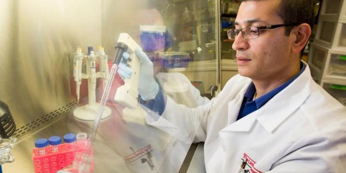 Repairing Traumatic Brain Injuries with 'Brain Glue'