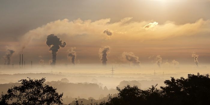 Finding the Link Between Air Pollution & Heart Disease