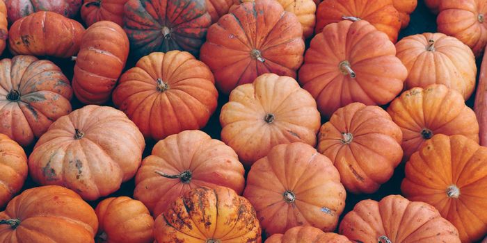 Pumpkins: A Trick or a Treat for Cancer?