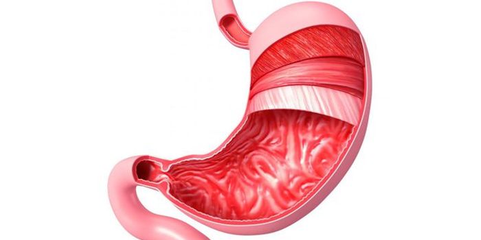 Hunger Hormones for Addiction Treatment?