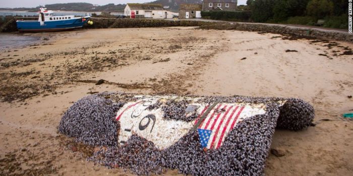 SpaceX Falcon 9 Rocket Remains Will Be Disposed of Properly