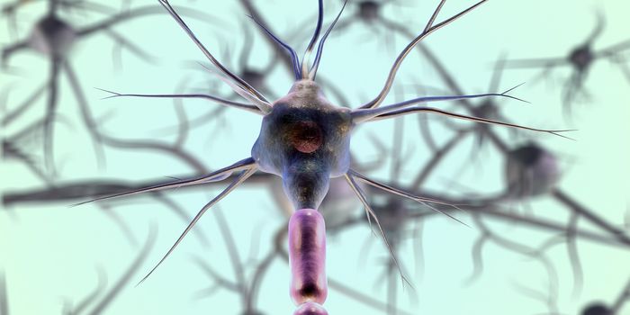 Researchers Reveal Autoimmune Response in Patients with ALS