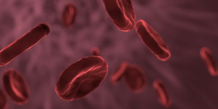 One Sequence Produced a Multitude of Hemoglobin Genes