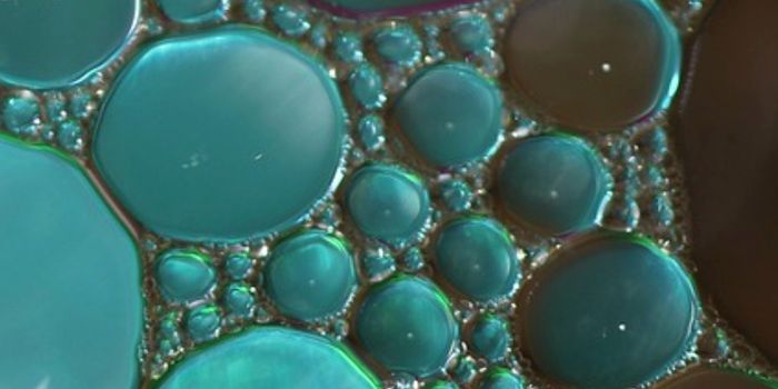 Serotonin-Generating Gut Microbes are ID'ed, May Aid IBS Treatment