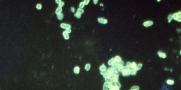 The Rise of Carbapenem Resistance