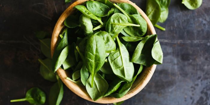 Could Zinc Rescue Esophageal Cancer?