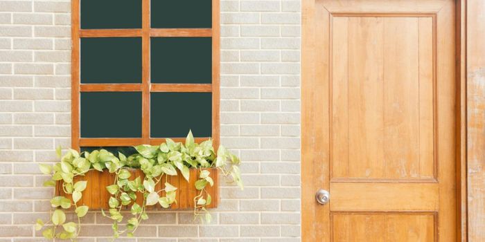 In-Person Contact Better than Digital for Reducing Loneliness